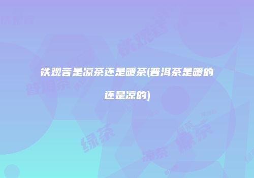 铁观音是凉茶还是暖茶(普洱茶是暖的还是凉的)