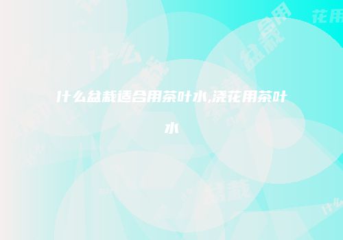 什么盆栽适合用茶叶水,浇花用茶叶水