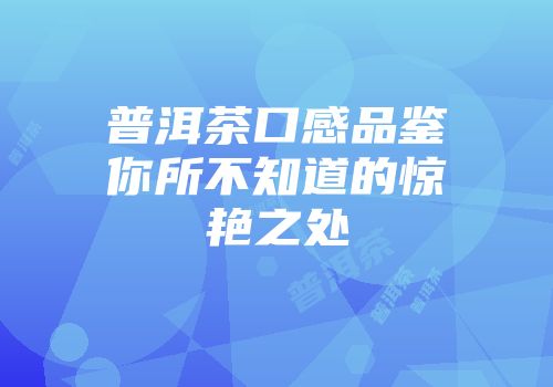 普洱茶口感品鉴你所不知道的惊艳之处