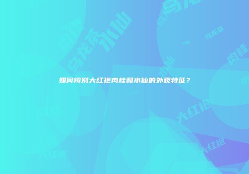 如何辨别大红袍肉桂和水仙的外观特征？