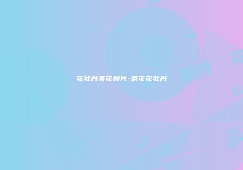 花牡丹茶花图片-茶花花牡丹