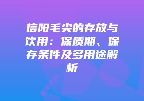 信阳毛尖的存放与饮用：保质期、保存条件及多用途解析