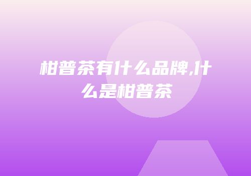 柑普茶有什么品牌,什么是柑普茶
