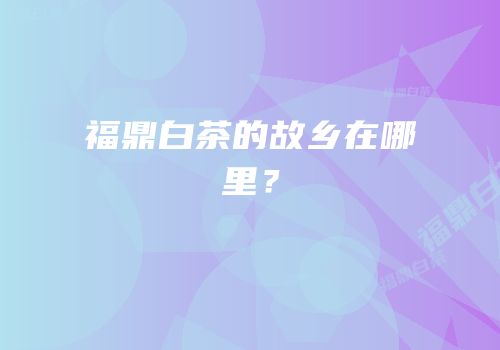 福鼎白茶的故乡在哪里？