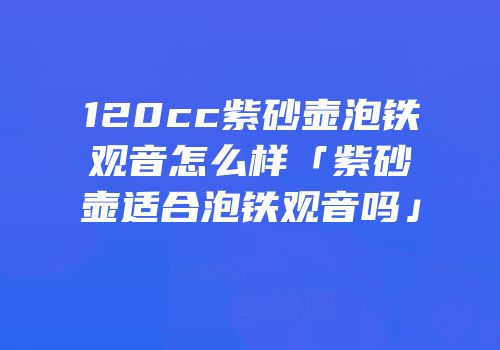 120cc紫砂壶泡铁观音怎么样「紫砂壶适合泡铁观音吗」