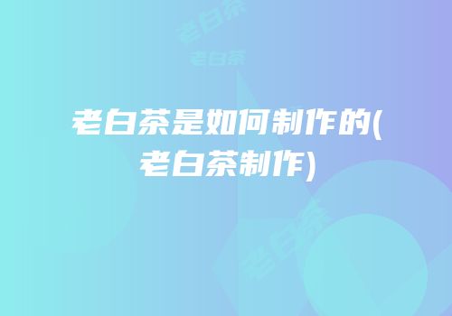 老白茶是如何制作的(老白茶制作)