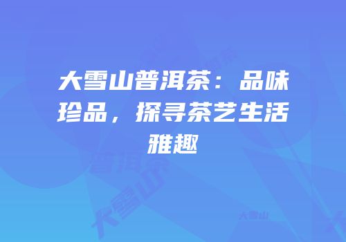 大雪山普洱茶：品味珍品，探寻茶艺生活雅趣