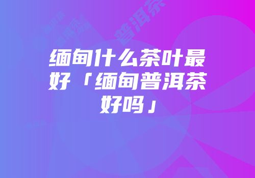 缅甸什么茶叶最好「缅甸普洱茶好吗」
