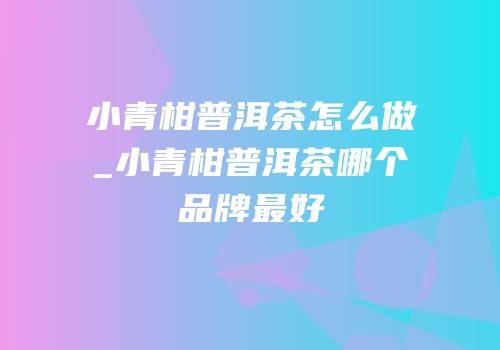 小青柑普洱茶怎么做_小青柑普洱茶哪个品牌最好