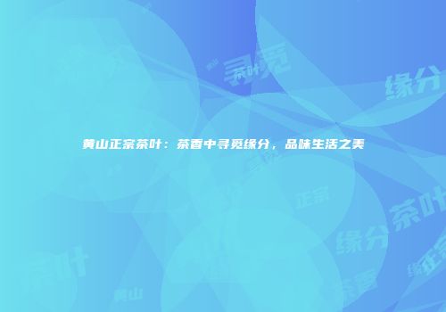 黄山正宗茶叶：茶香中寻觅缘分，品味生活之美