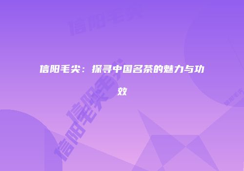 信阳毛尖：探寻中国名茶的魅力与功效