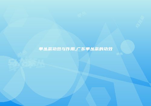 单丛茶功效与作用,广东单丛茶的功效
