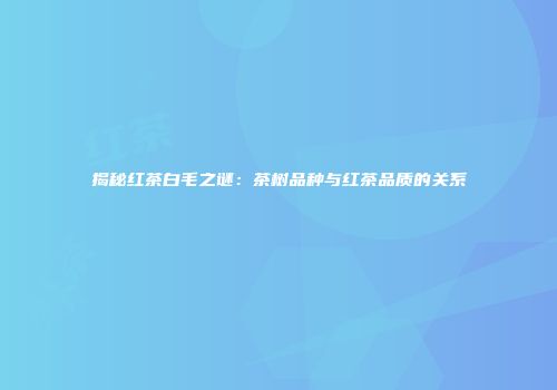 揭秘红茶白毛之谜：茶树品种与红茶品质的关系