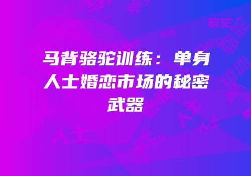 马背骆驼训练：单身人士婚恋市场的秘密武器