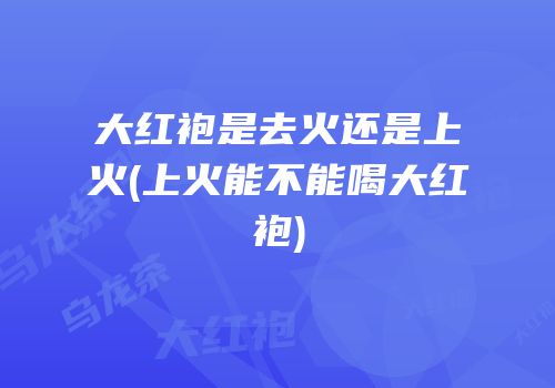 大红袍是去火还是上火(上火能不能喝大红袍)