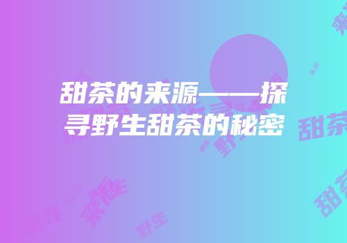 甜茶的来源——探寻野生甜茶的秘密