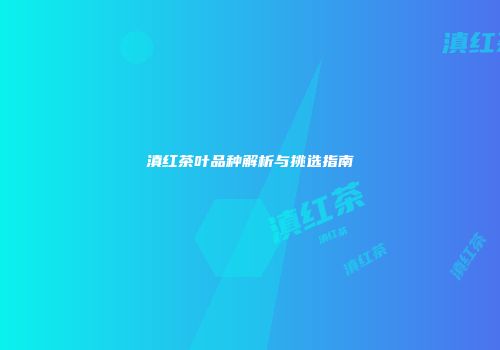 滇红茶叶品种解析与挑选指南