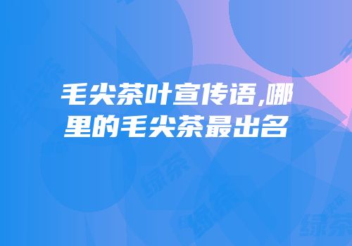 毛尖茶叶宣传语,哪里的毛尖茶最出名