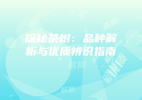 探秘茶树：品种解析与优质辨识指南