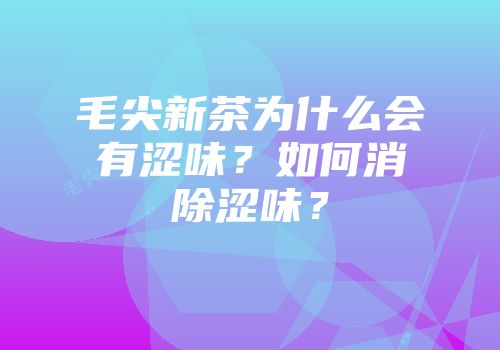 毛尖新茶为什么会有涩味？如何消除涩味？