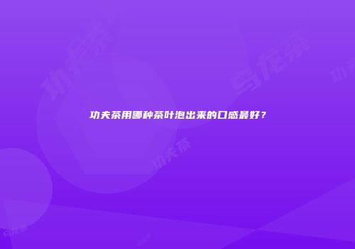 功夫茶用哪种茶叶泡出来的口感最好？