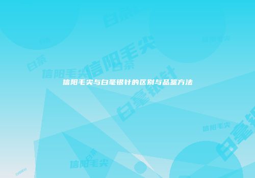 信阳毛尖与白毫银针的区别与品鉴方法