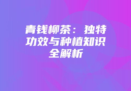 青钱柳茶：独特功效与种植知识全解析