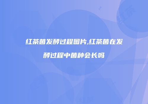 红茶菌发酵过程图片,红茶菌在发酵过程中菌种会长吗