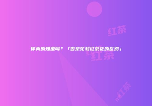 你真的知道吗？「香茶花和红茶花的区别」