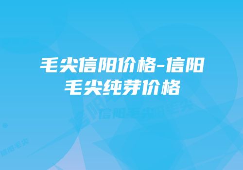 毛尖信阳价格-信阳毛尖纯芽价格