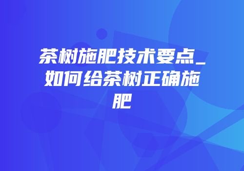 茶树施肥技术要点_如何给茶树正确施肥
