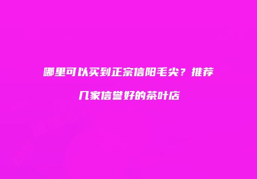 哪里可以买到正宗信阳毛尖？推荐几家信誉好的茶叶店