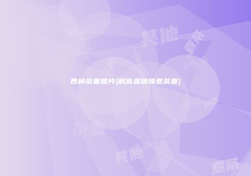 各种茶壶图片(耐高温玻璃煮茶壶)