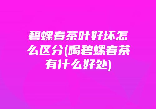 碧螺春茶叶好坏怎么区分(喝碧螺春茶有什么好处)