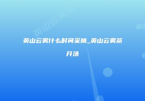 英山云雾什么时间采摘_英山云雾茶开汤