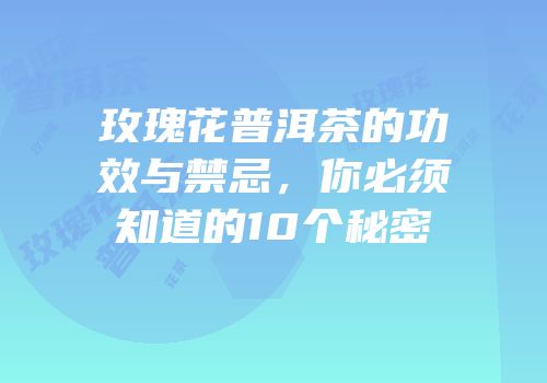 玫瑰花普洱茶的功效与禁忌，你必须知道的10个秘密