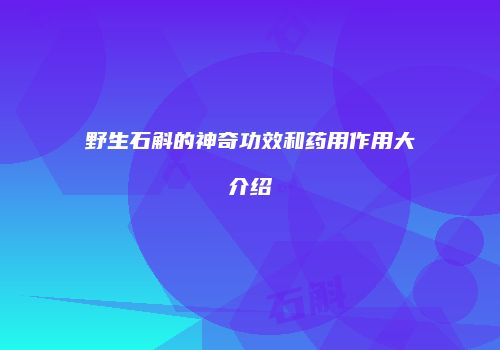 野生石斛的神奇功效和药用作用大介绍