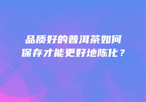 品质好的普洱茶如何保存才能更好地陈化？