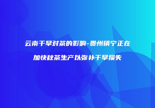 云南干旱对茶的影响-贵州镇宁正在加快秋茶生产以弥补干旱损失