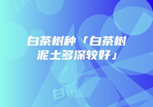 白茶树种「白茶树泥土多深较好」
