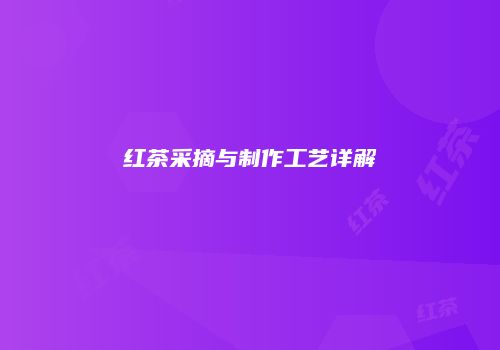 红茶采摘与制作工艺详解