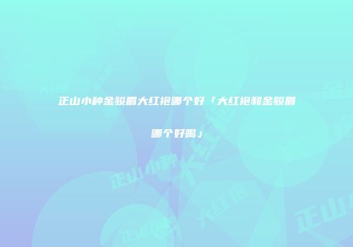 正山小种金骏眉大红袍哪个好「大红袍和金骏眉哪个好喝」