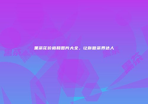 黑茶花价格和图片大全，让你做茶界达人