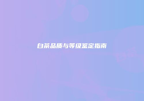 白茶品质与等级鉴定指南