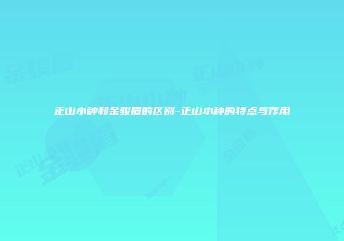 正山小种和金骏眉的区别-正山小种的特点与作用