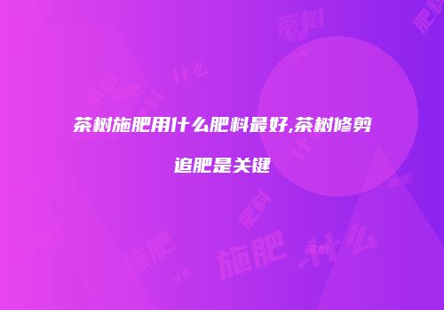 茶树施肥用什么肥料最好,茶树修剪追肥是关键