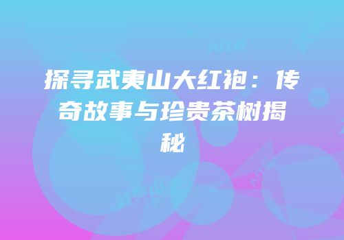 探寻武夷山大红袍：传奇故事与珍贵茶树揭秘