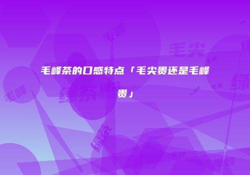 毛峰茶的口感特点「毛尖贵还是毛峰贵」