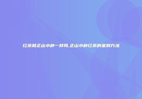 红茶和正山小种一样吗,正山小种红茶的鉴别方法