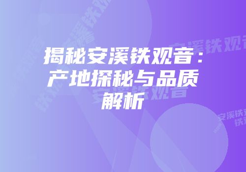 揭秘安溪铁观音：产地探秘与品质解析